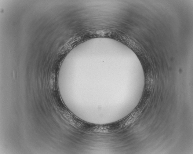 X0000058130656200510212047