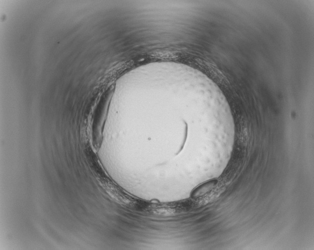 X0000058130658200510212047