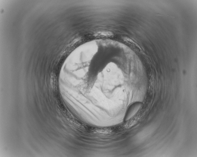 X0000058130659200510212047