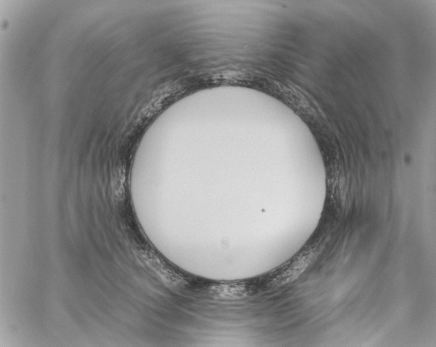 X0000058130660200510212047