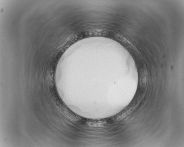 X0000058130661200510212047