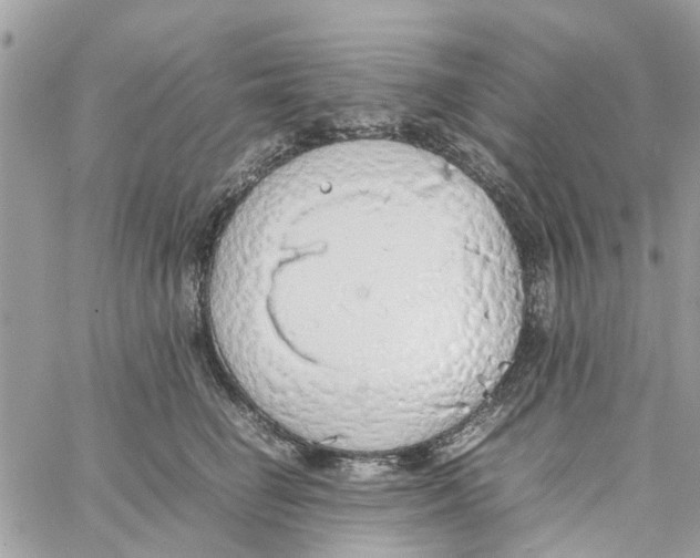 X0000058130662200510212047