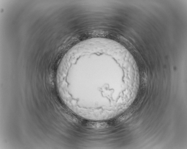 X0000058130663200510212047