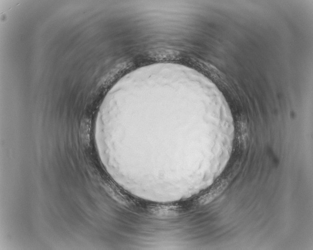 X0000058130664200510212047