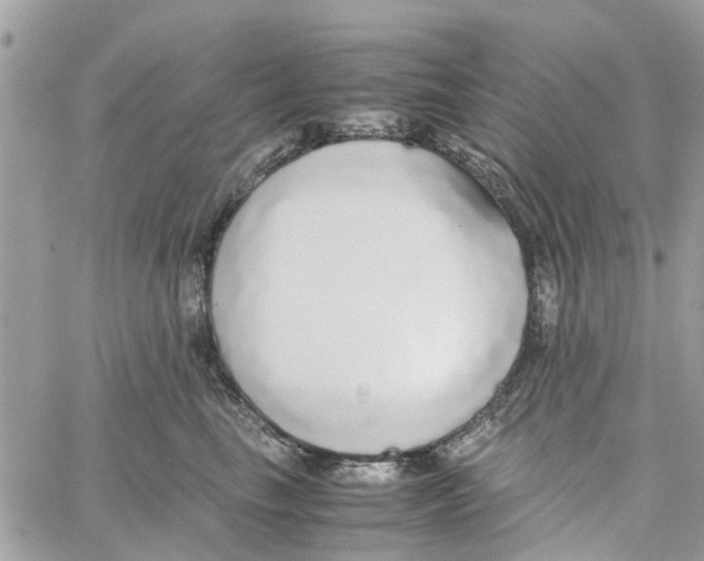 X0000058130665200510212047