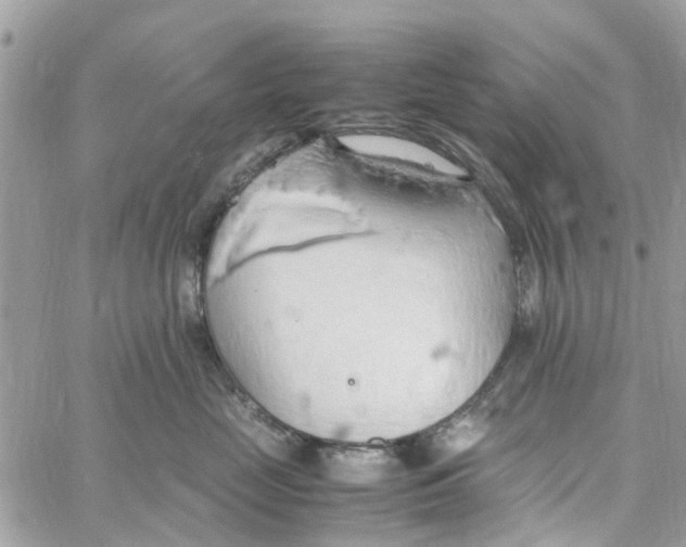 X0000058130669200510212047