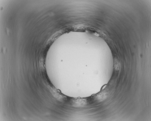 X0000058130670200510212047