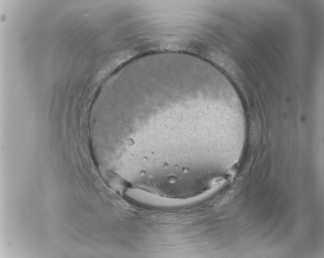 X0000058130673200510212046