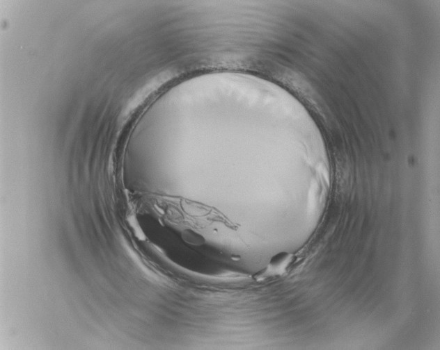 X0000058130674200510212046