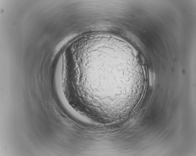 X0000058130675200510212046