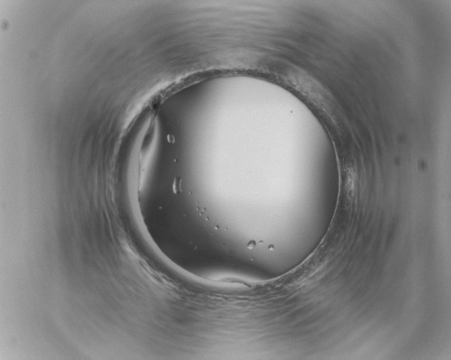 X0000058130676200510212046