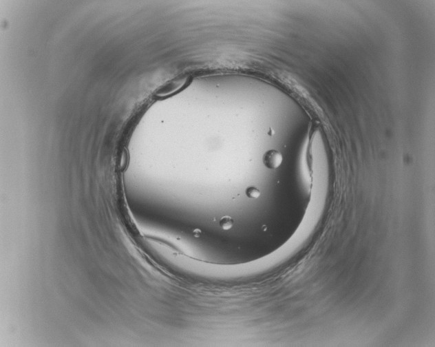 X0000058130677200510212046