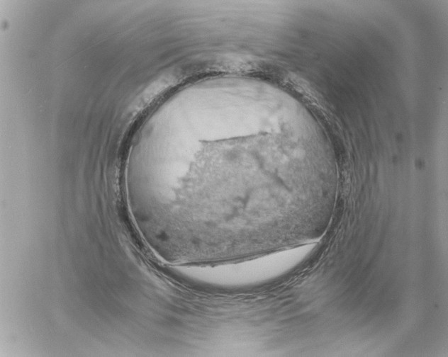 X0000058130679200510212046