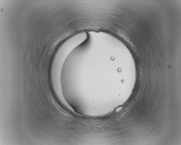 X0000058130681200510212046