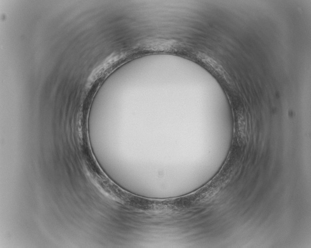 X0000058130682200510212046