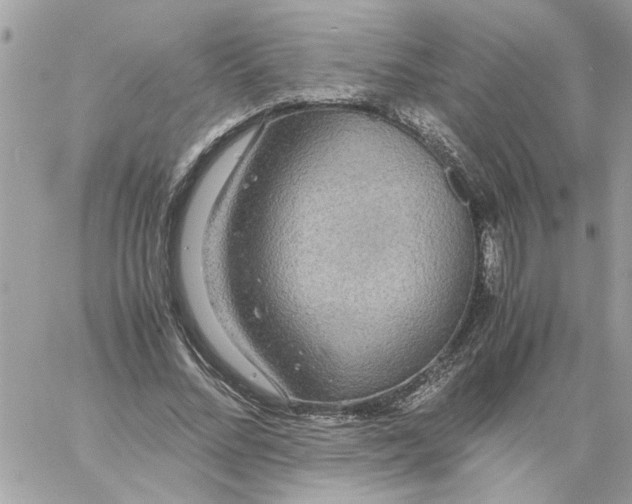 X0000058130684200510212046