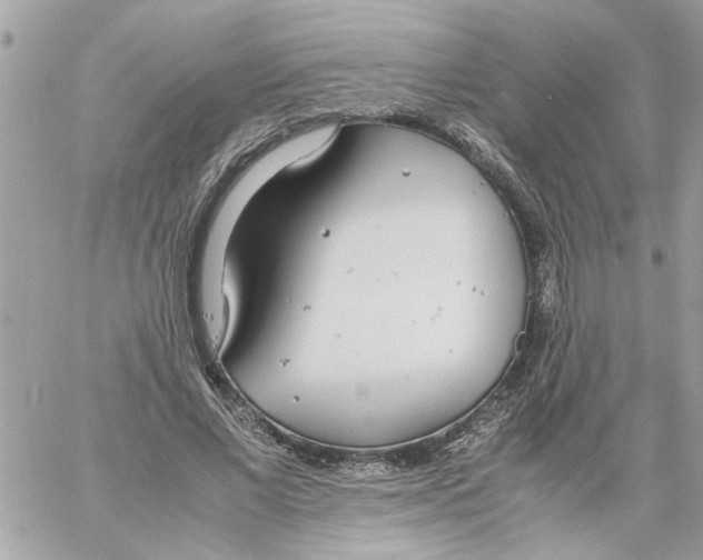 X0000058130685200510212046