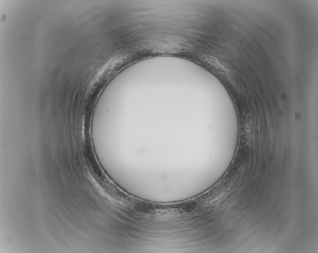 X0000058130686200510212046