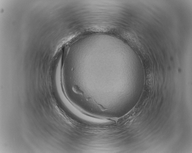 X0000058130688200510212046