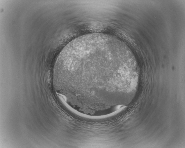 X0000058130689200510212046