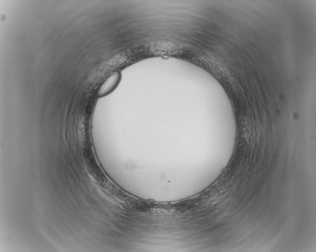 X0000058130690200510212046