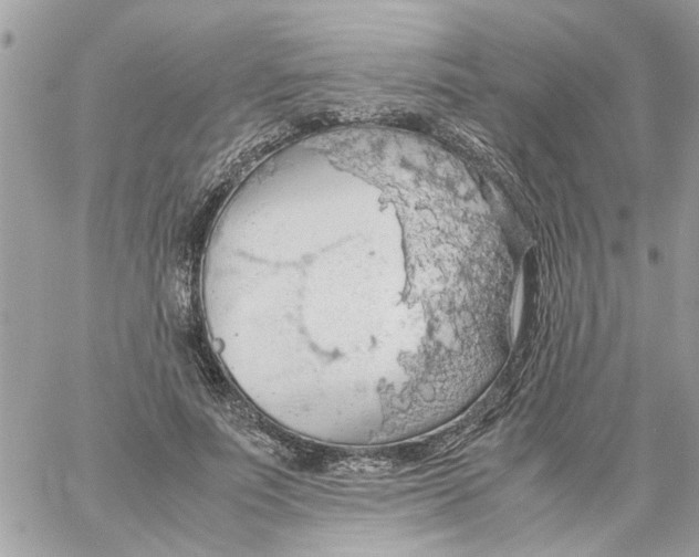 X0000058130691200510212046