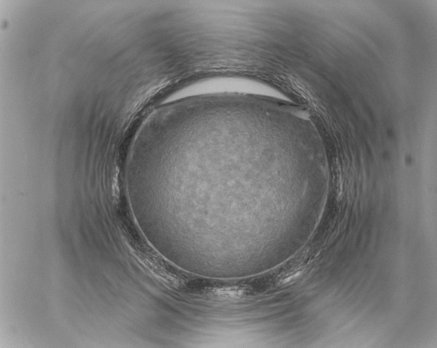 X0000058130692200510212046