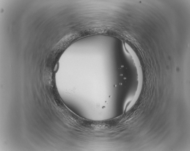 X0000058130693200510212046