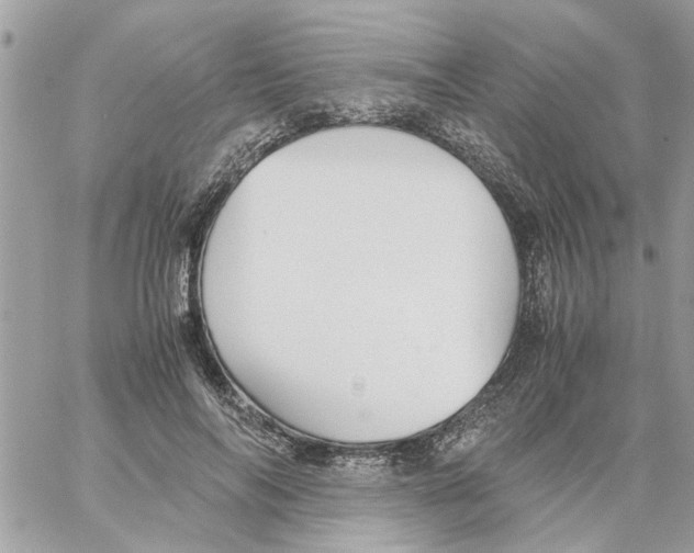 X0000058130694200510212046