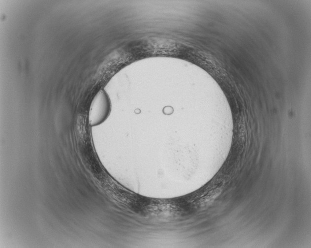 X0000058130695200510212046