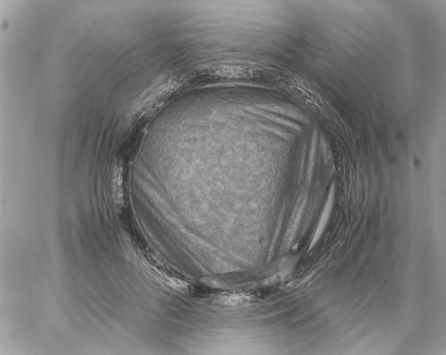 X0000058130696200510212046