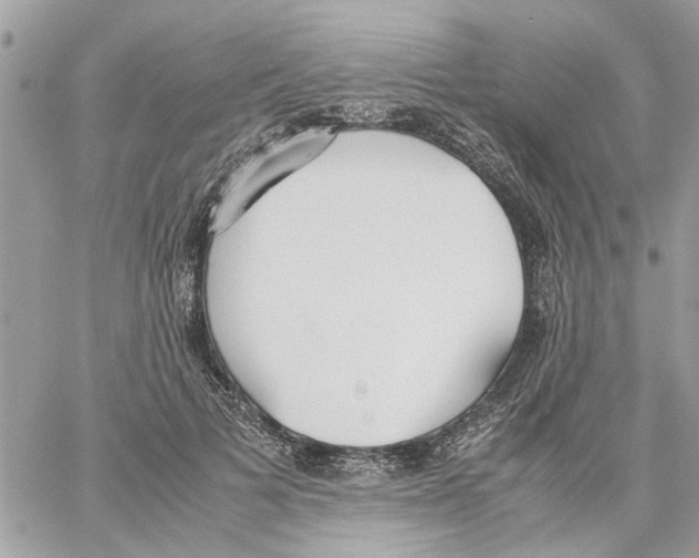 X0000058130697200510212046