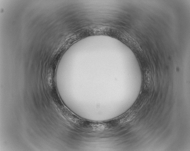 X0000058130698200510212046