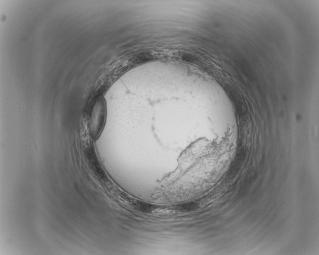 X0000058130699200510212046