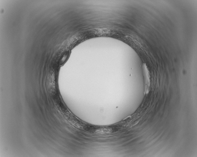 X0000058130700200510212046