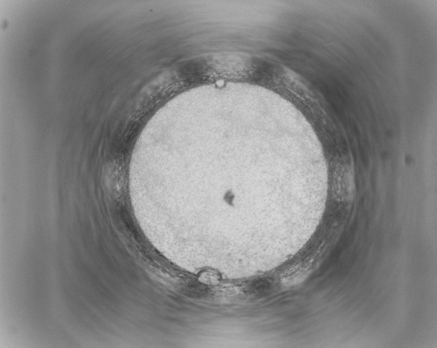 X0000058130701200510212046