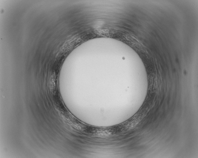 X0000058130702200510212046