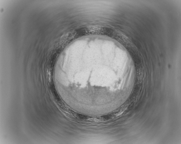 X0000058130703200510212046