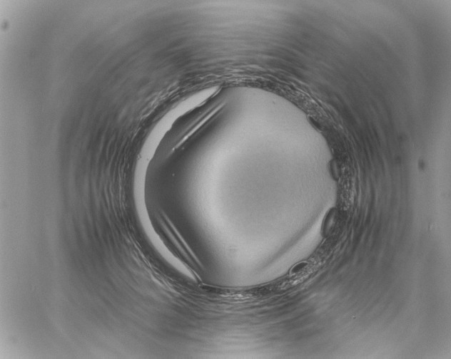 X0000058130704200510212046