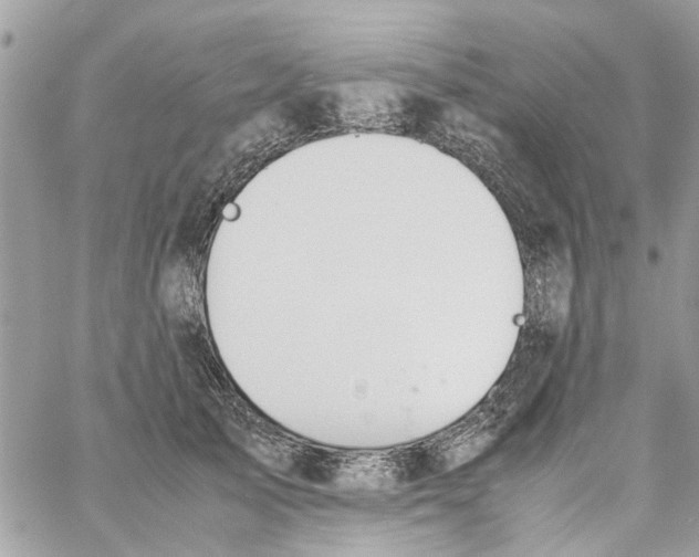 X0000058130705200510212046