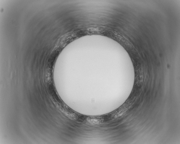 X0000058130706200510212046