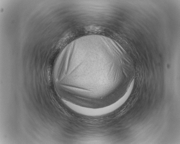 X0000058130708200510212046