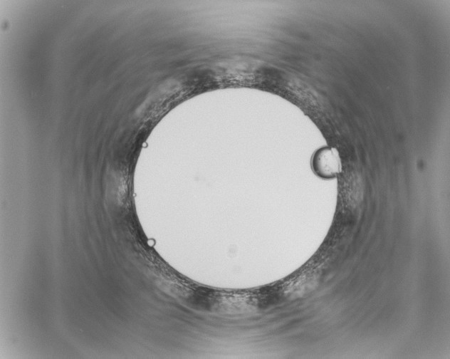 X0000058130709200510212046