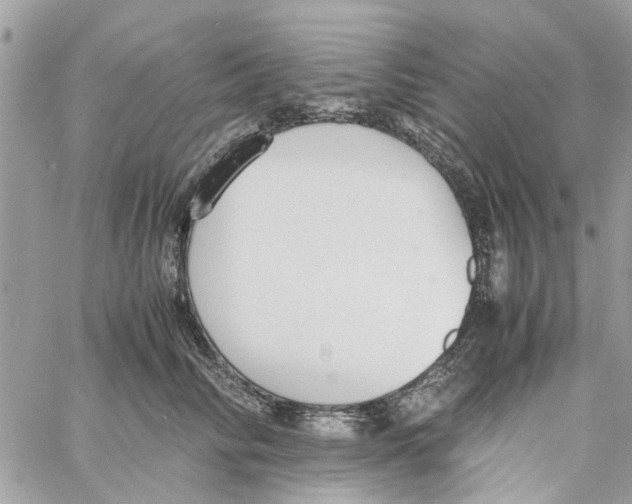 X0000058130710200510212046