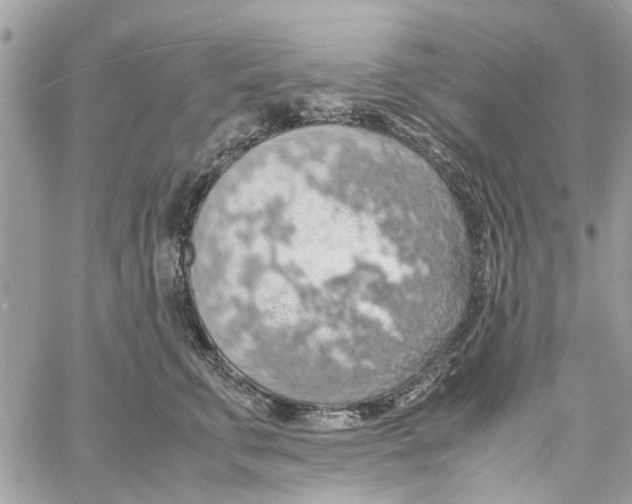 X0000058130711200510212046