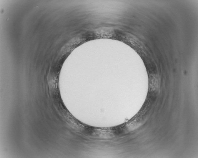 X0000058130713200510212046