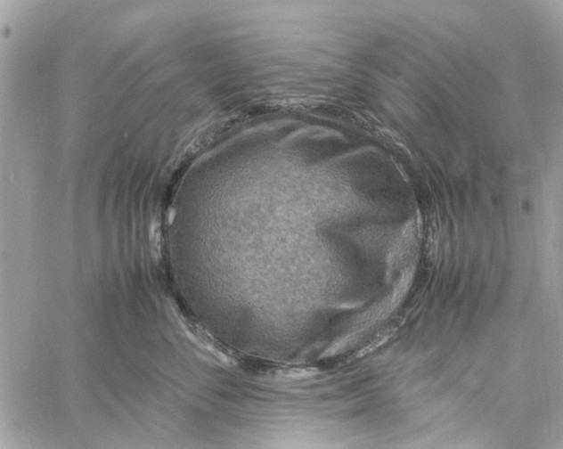 X0000058130716200510212046