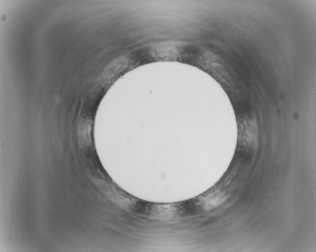 X0000058130717200510212046