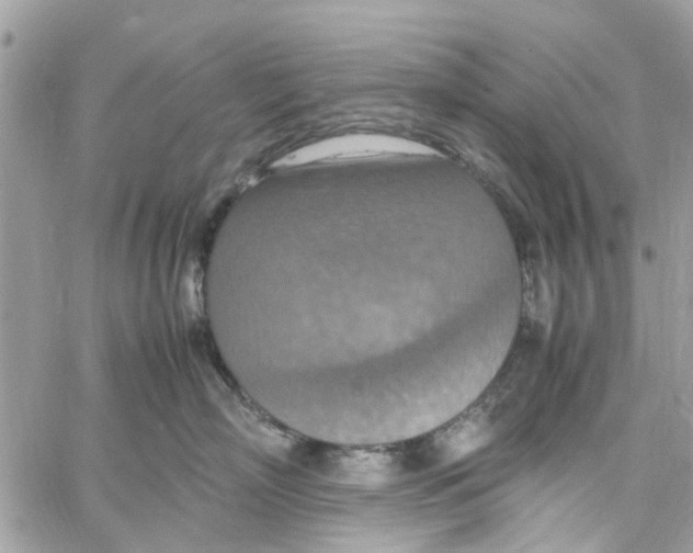 X0000058130718200510212045