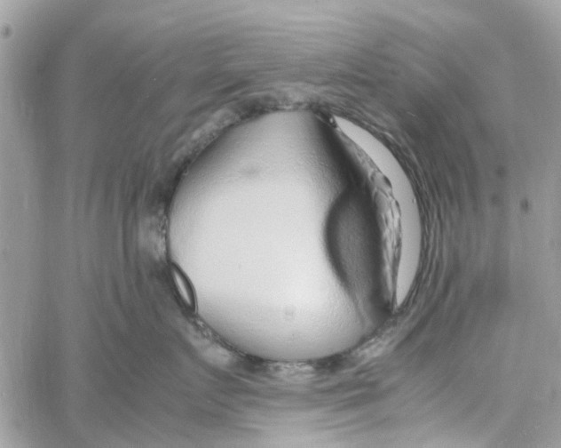 X0000058130719200510212045